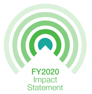 fy-20-impact-statement-logo