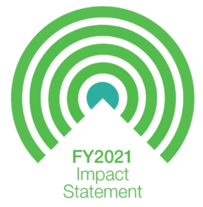 fy 2021 impact statement icon